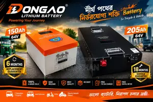 Dongao Lithium Battery 64V (150Ah, 173Ah, 205Ah) for Easy Bike
