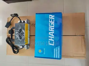 Dongao Lithium Battery 64V (150Ah, 173Ah, 205Ah) for Easy Bike