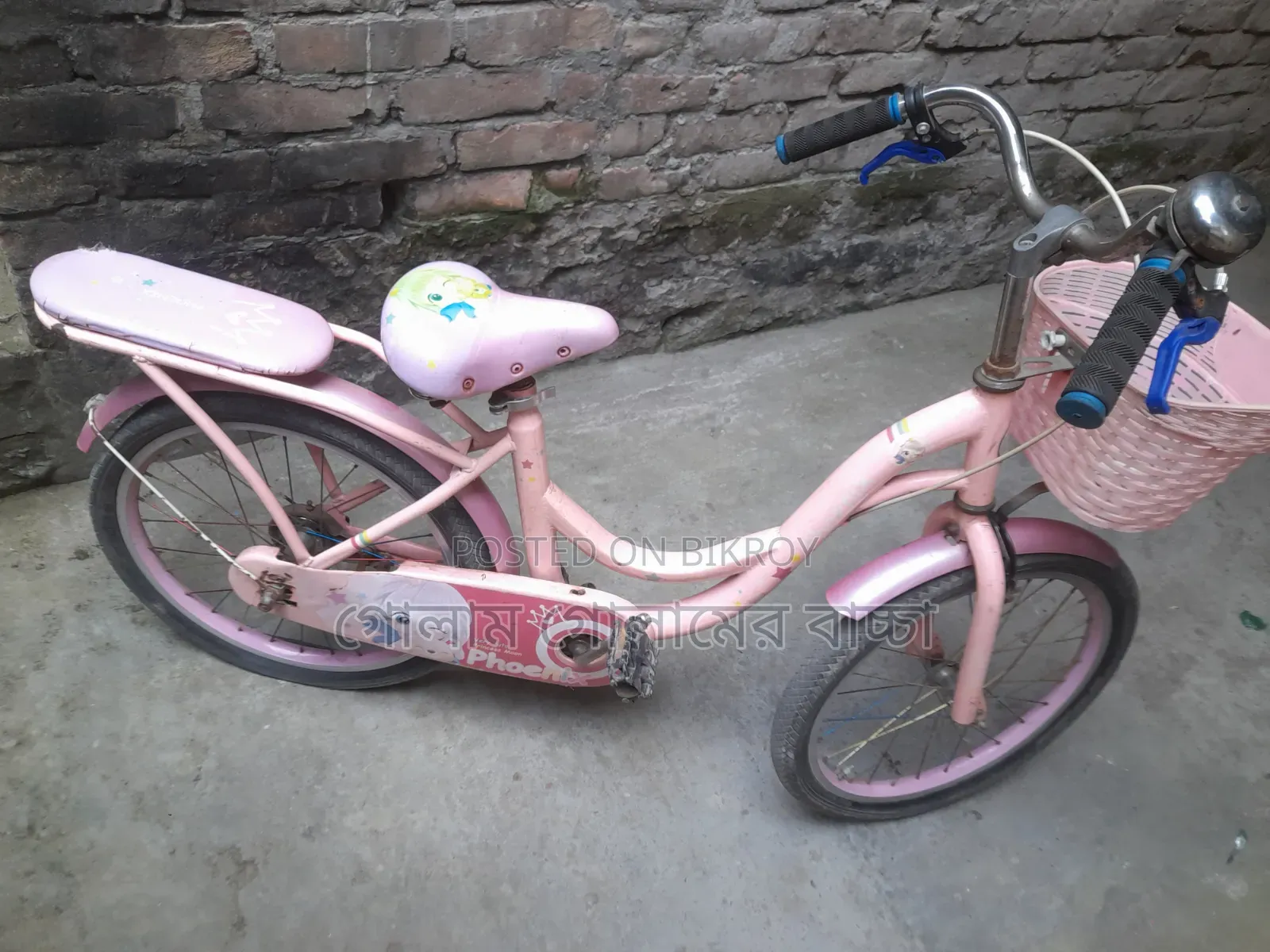 20 Size Ladies Cycle