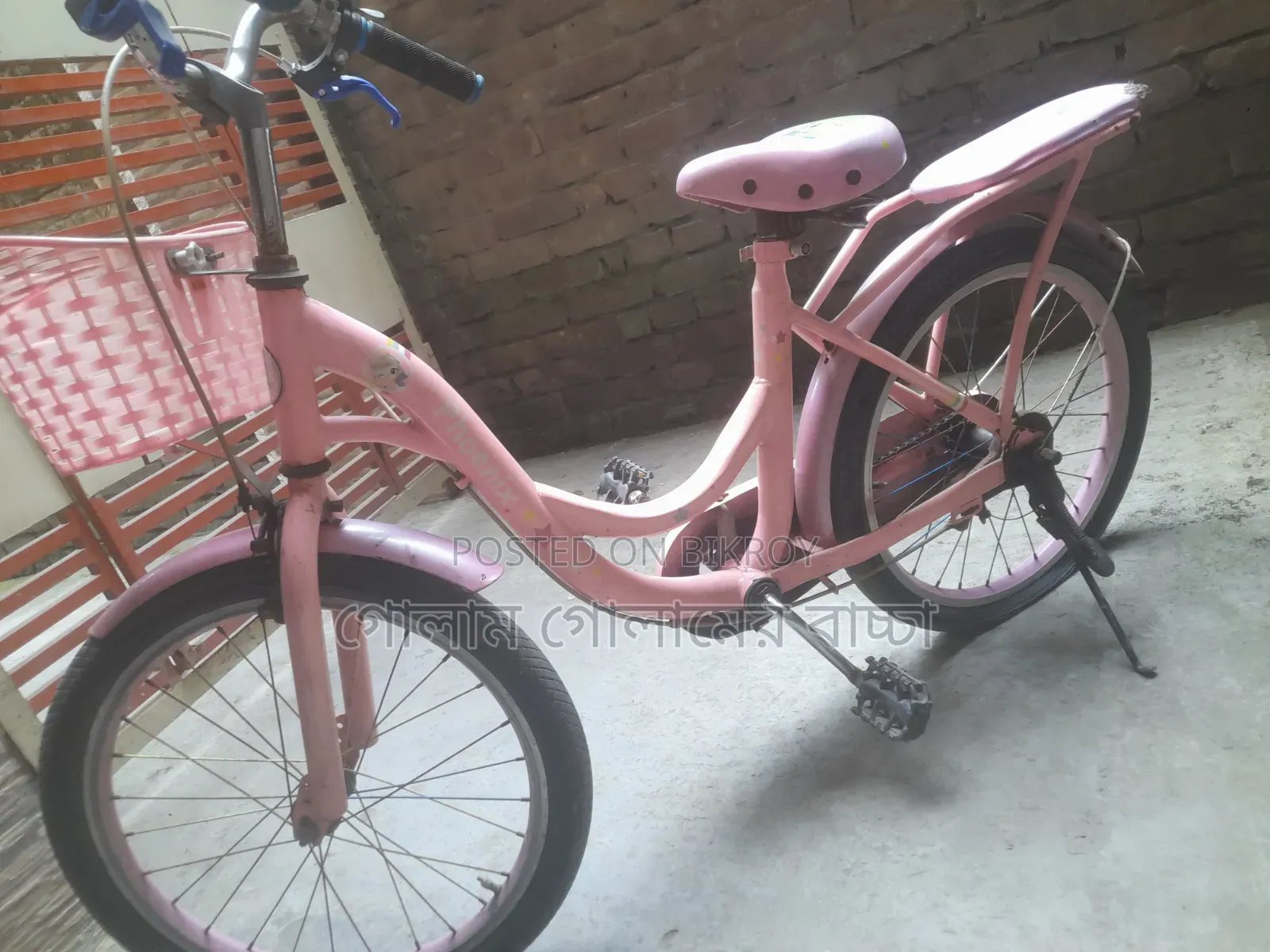 20 Size Ladies Cycle
