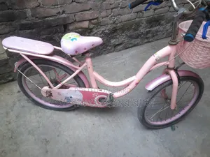 20 Size Ladies Cycle