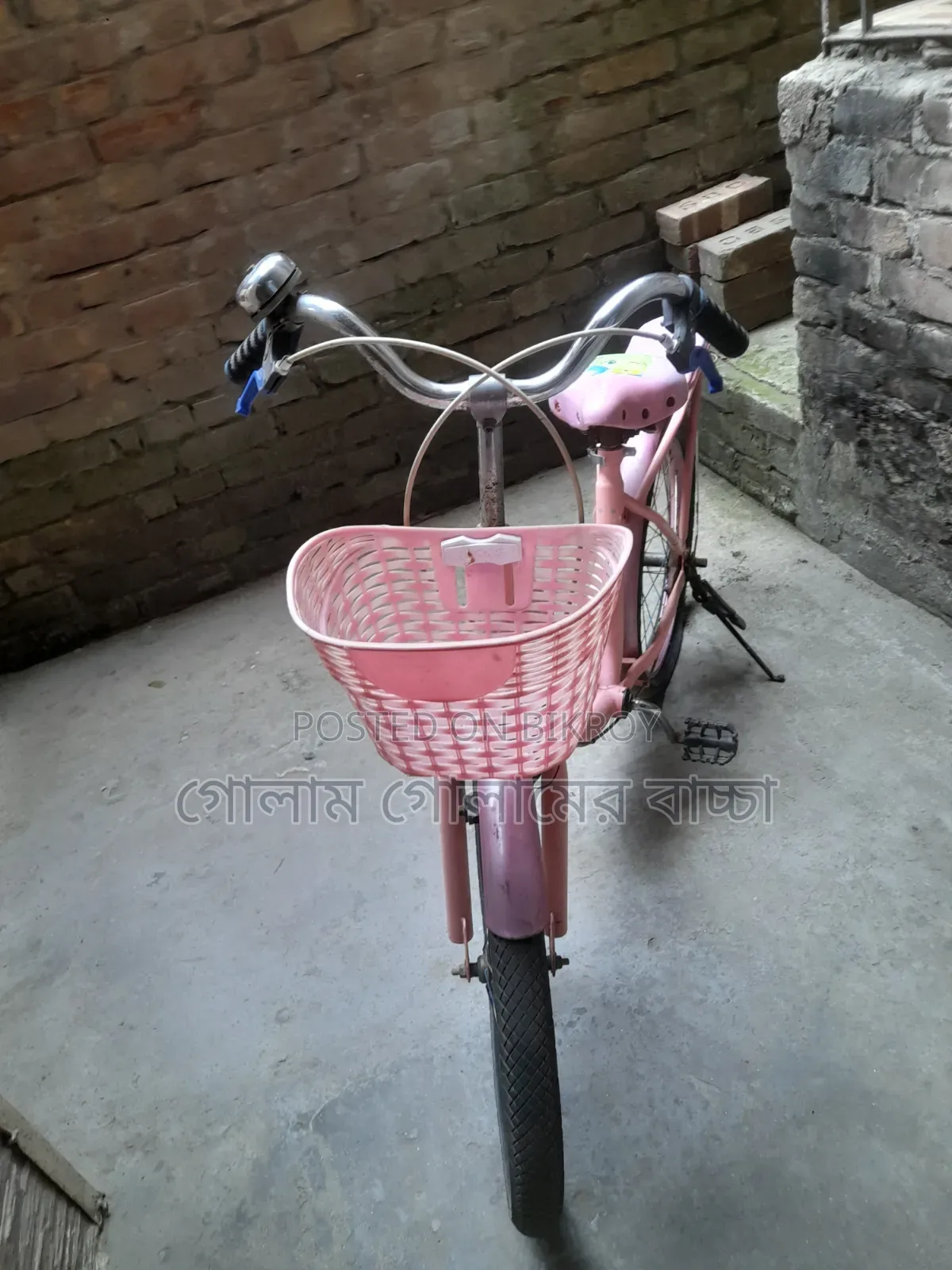 20 Size Ladies Cycle