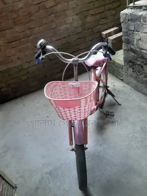 20 Size Ladies Cycle