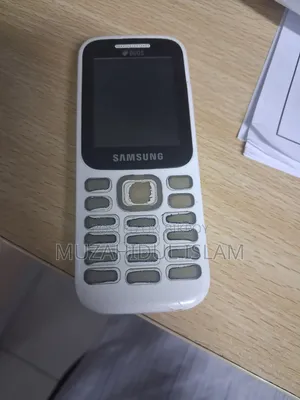 স্যামসাং বি৩১০ সাদা