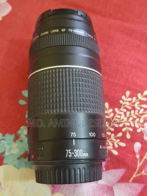 Canon 50mm Prime and 75-300mm Zoom Lens