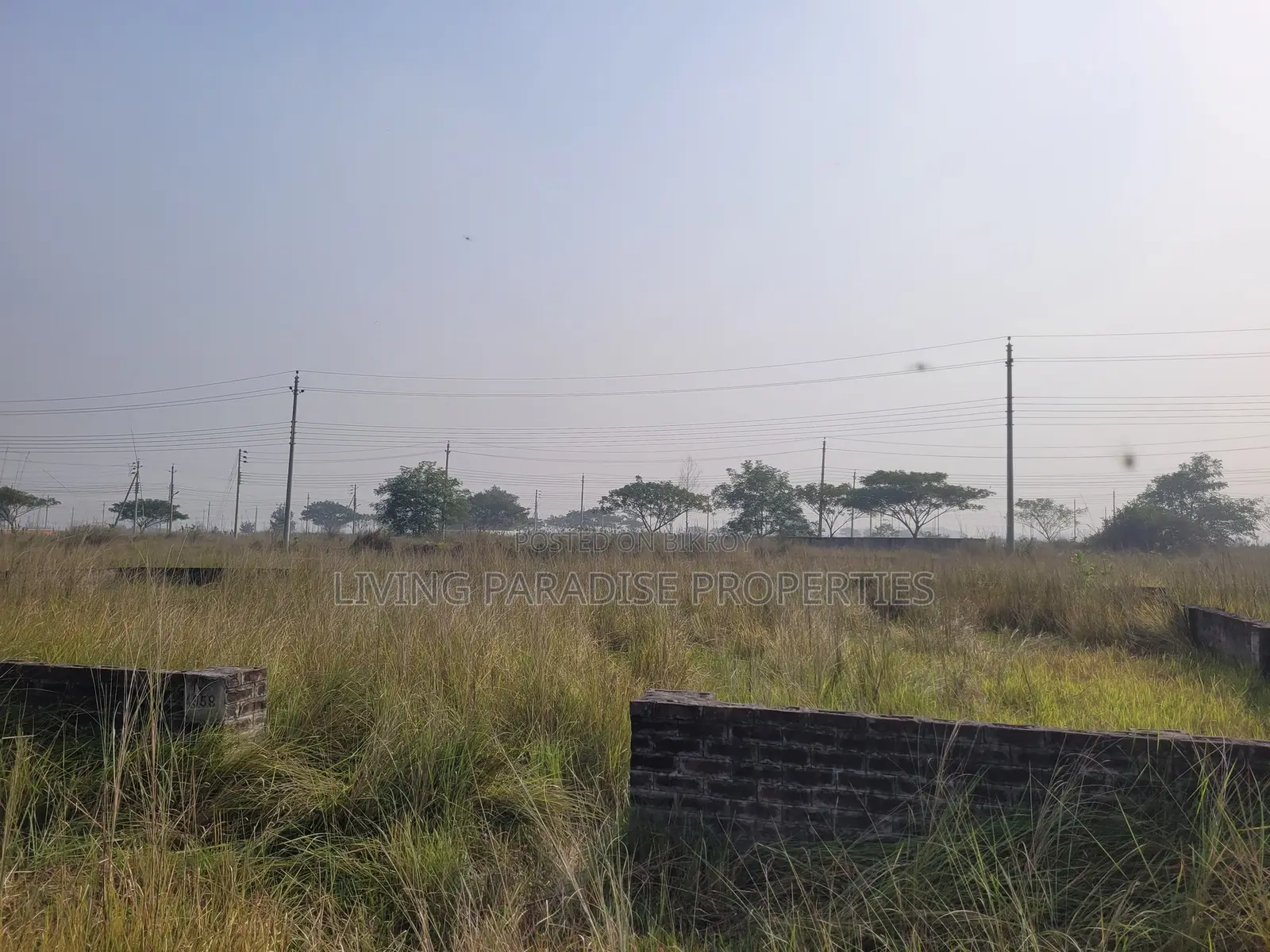 P-Block / North Face / 4 Katha Ready Plot / Bashundhara R/A
