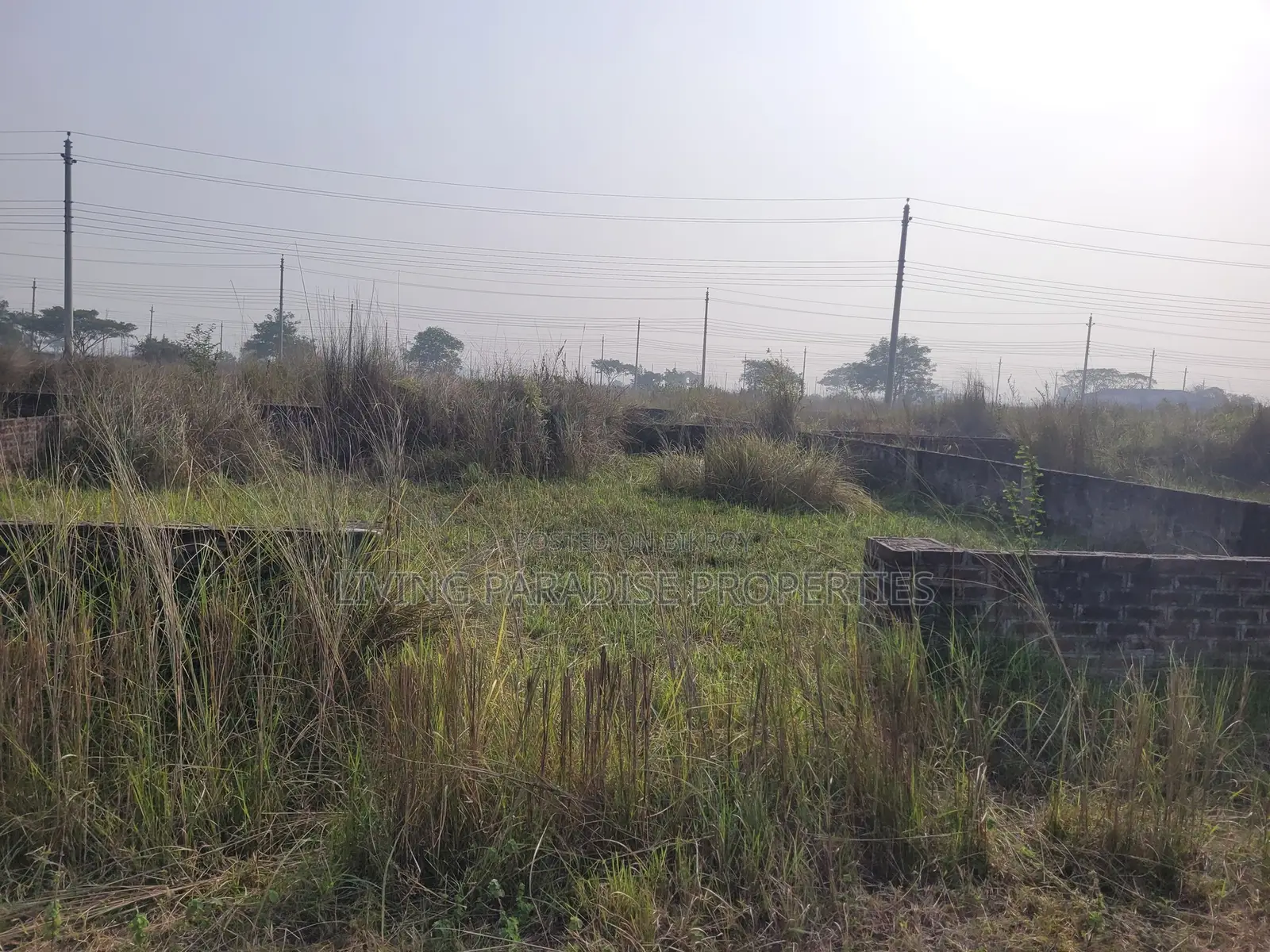 P-Block / North Face / 4 Katha Ready Plot / Bashundhara R/A