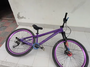 Custom Made Bi-Cycle for SALE