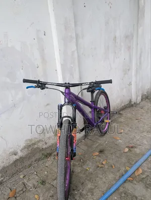 Custom Made Bi-Cycle for SALE