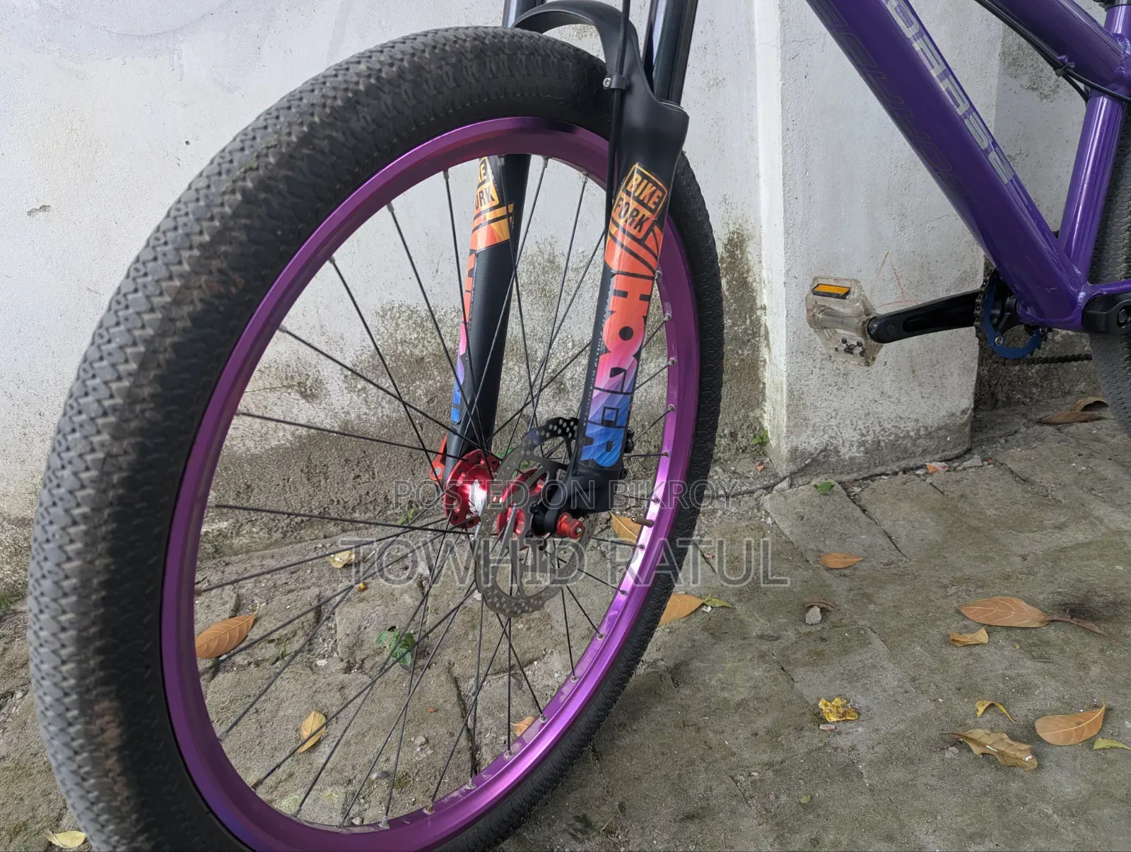 Custom Made Bi-Cycle for SALE