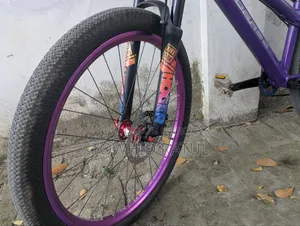 Custom Made Bi-Cycle for SALE