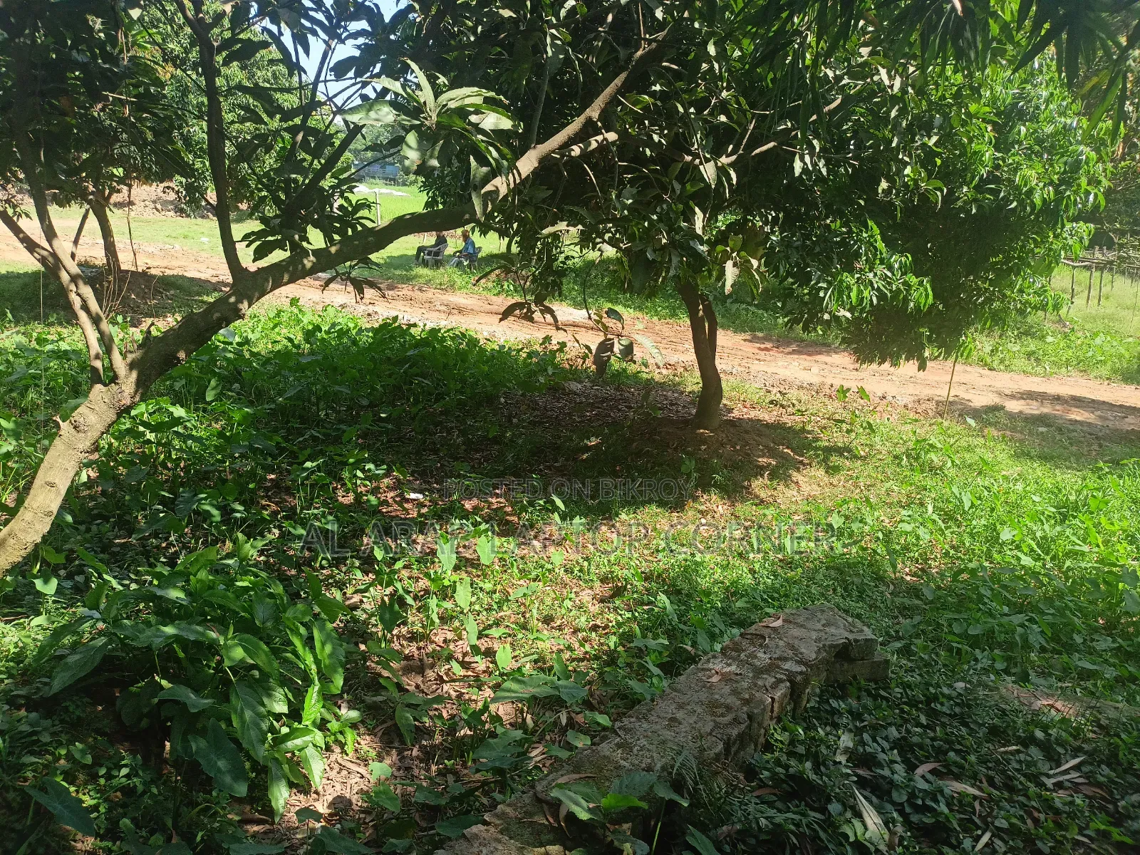 Land for sale in plot form in Ward No. 21, Gazipur City