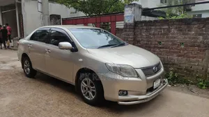 Toyota Axio 2007 Gold