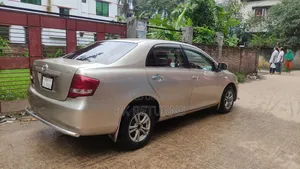 Toyota Axio 2007 Gold