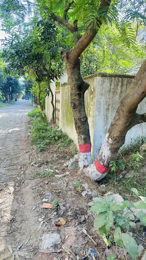 জমি বিক্রি আতি বাজার মডেল টাউন
