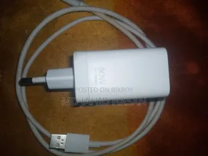 ভিভো ৮০ডব্লিউ অরিজিনাল চার্জার