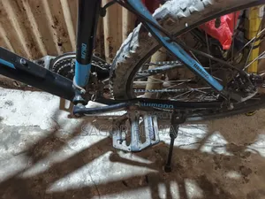 Bicycle Bicycle