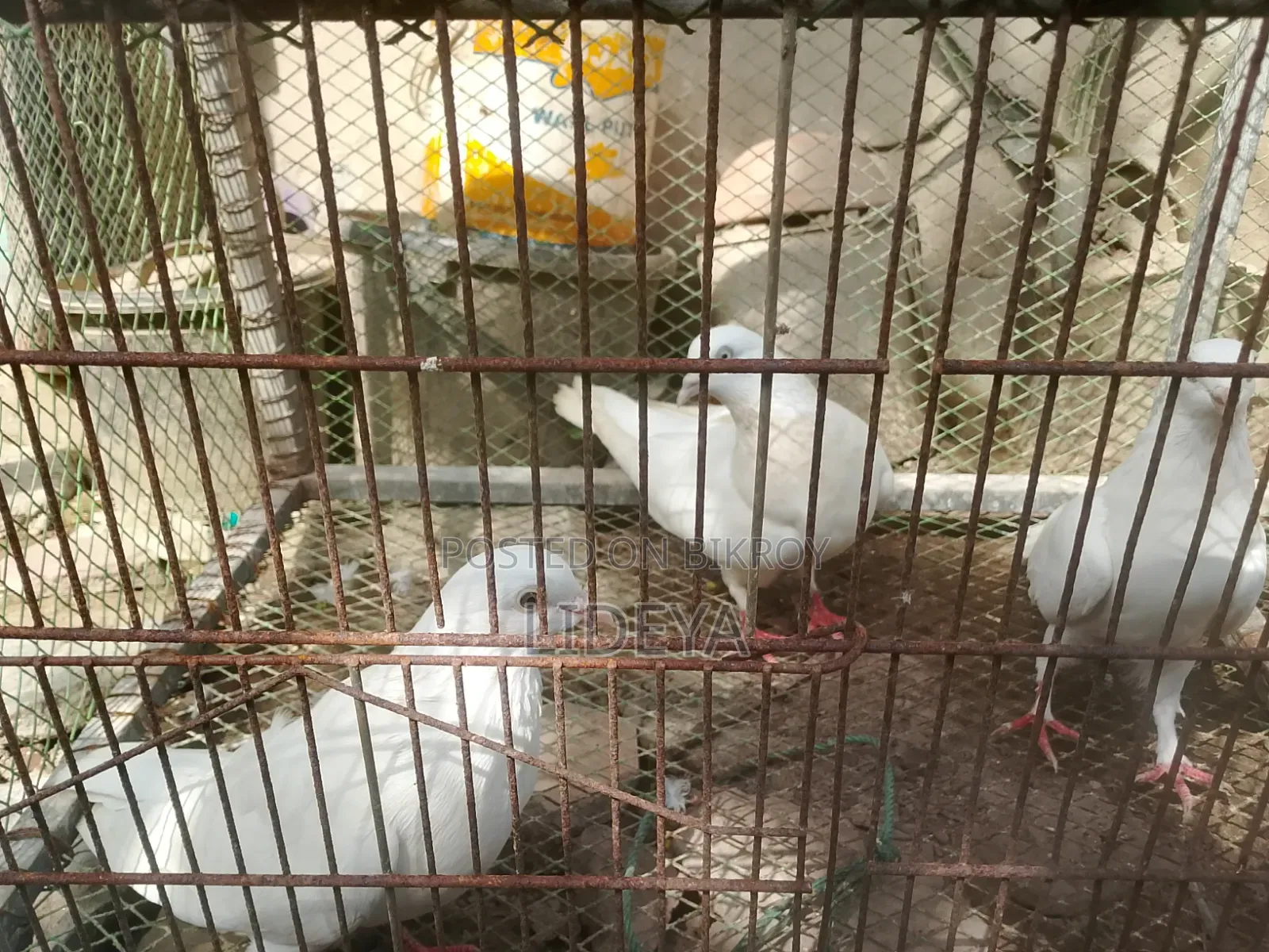 ভালো মানের