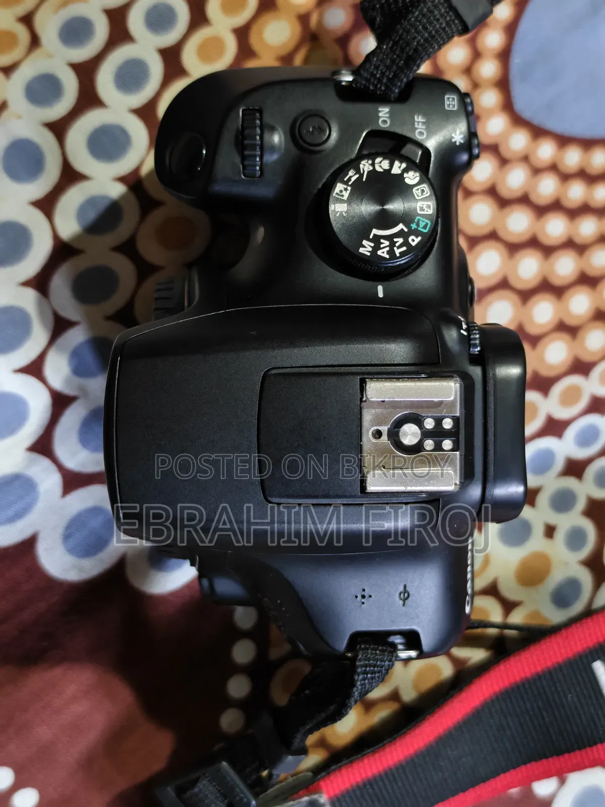 Canon 1300D, 50mm STM, 55-250mm Telephoto Zoom STM