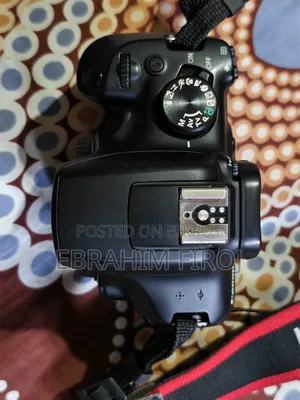Canon 1300D, 50mm STM, 55-250mm Telephoto Zoom STM