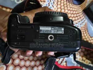 Canon 1300D, 50mm STM, 55-250mm Telephoto Zoom STM