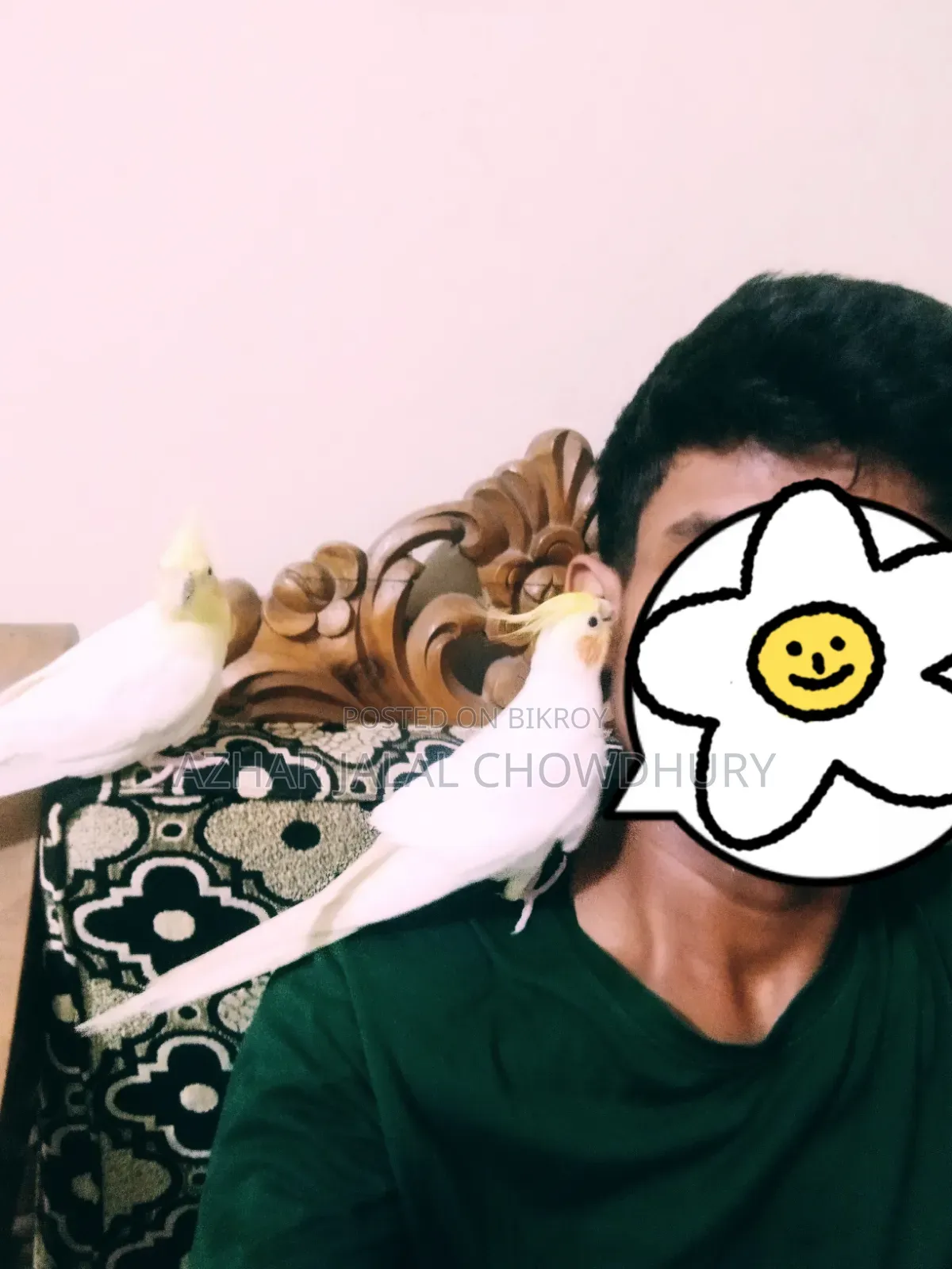 লোটন টেম ককাটেল রানিং পেয়ার