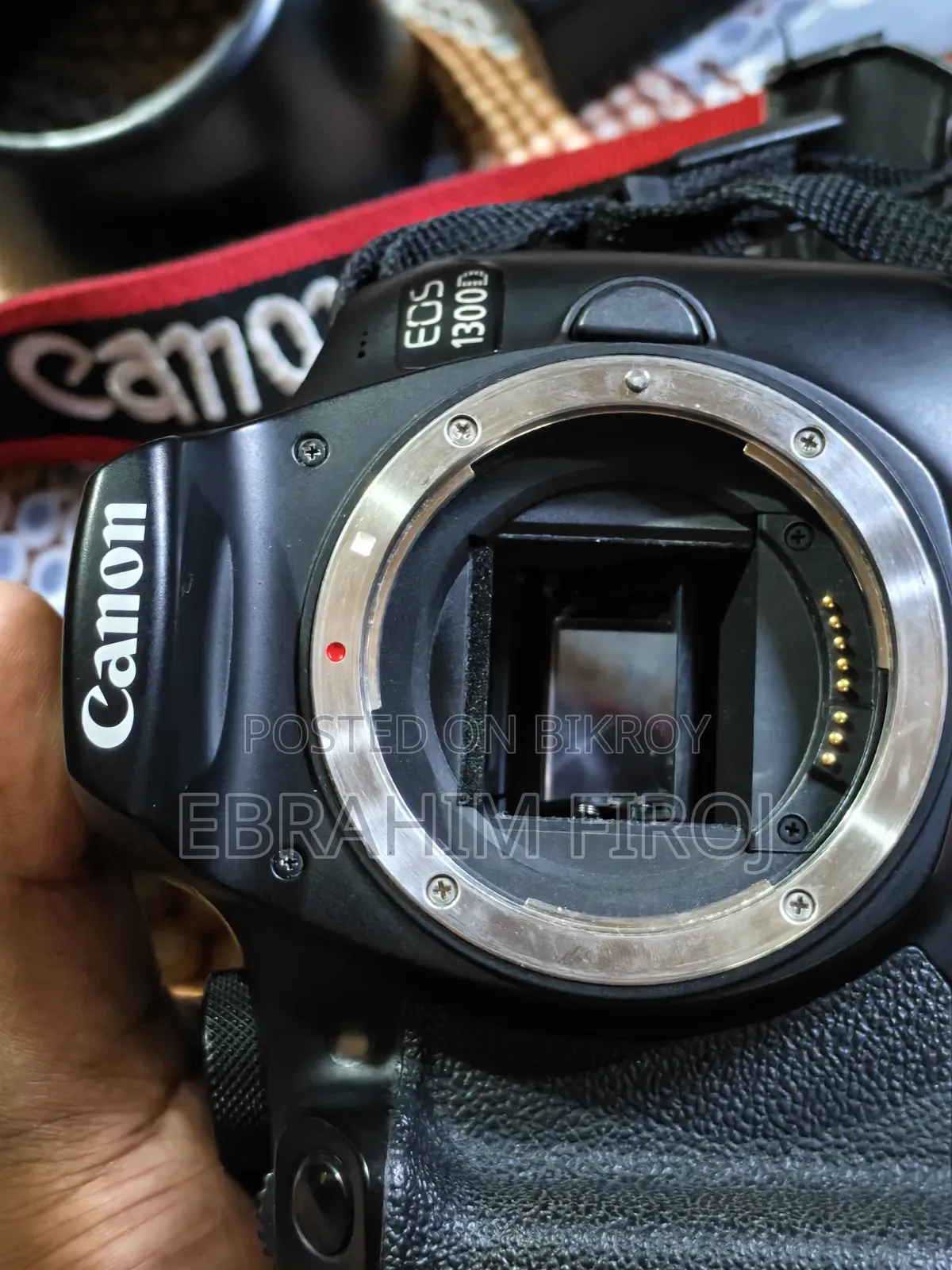 Canon 1300D, 50mm STM, 55-250mm Telephoto Zoom STM