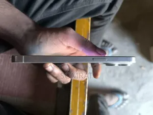 অ্যাপল আইফোন ১৫ প্রো ম্যাক্স ২৫৬ জিবি