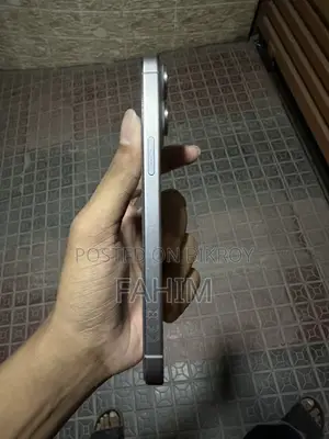 Apple iPhone 15 Pro Max 256 GB Silver