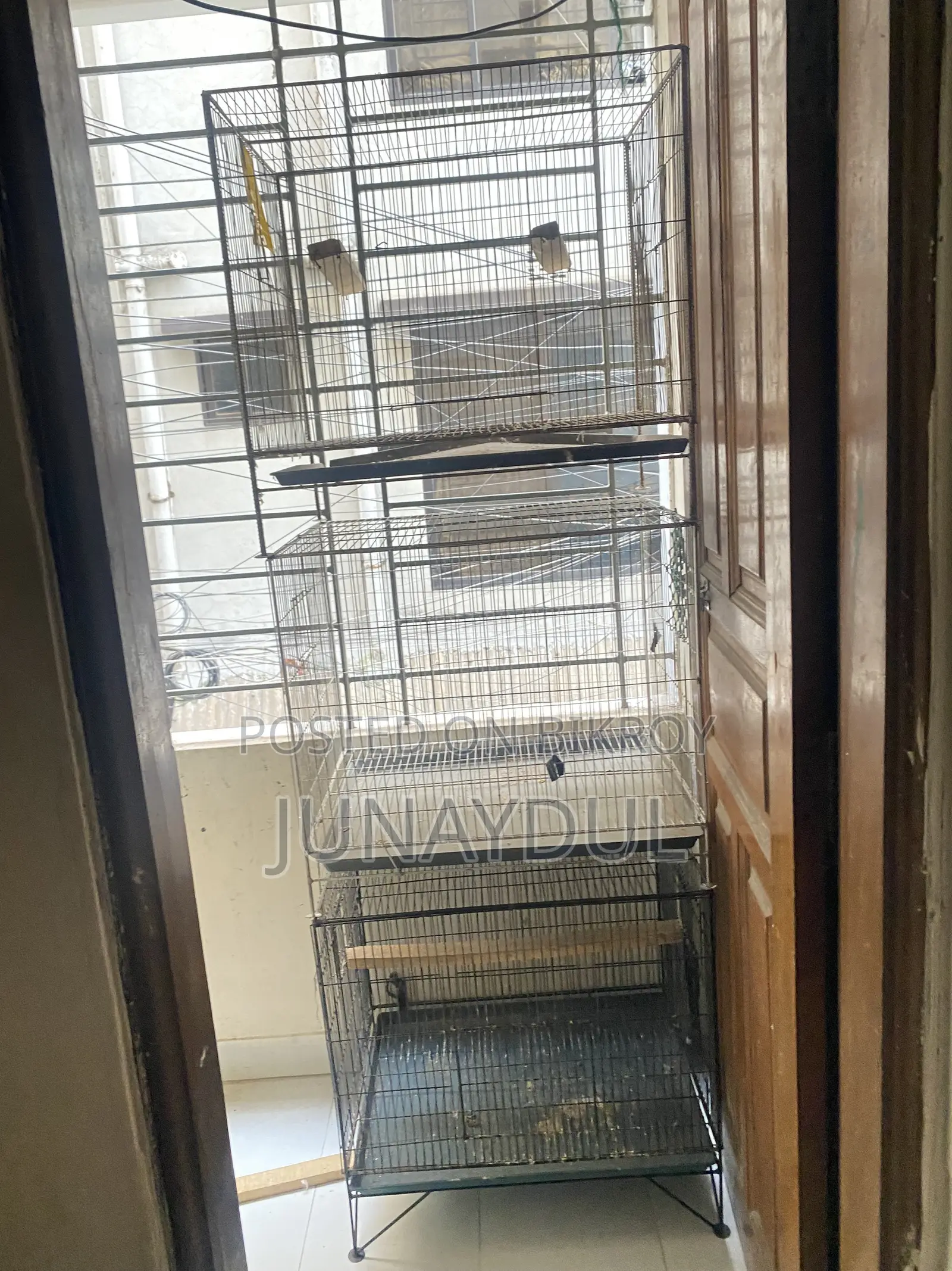 Kacha and Breeding Box