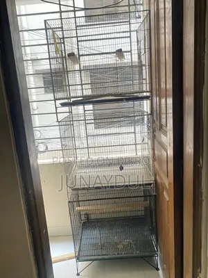 Kacha and Breeding Box
