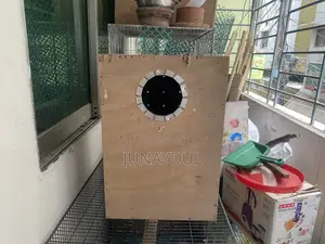 Kacha and Breeding Box
