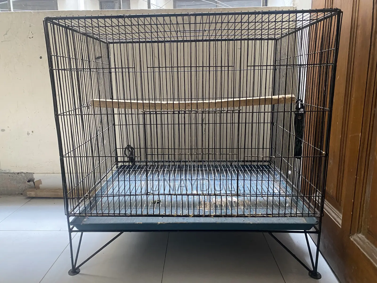 Kacha and Breeding Box