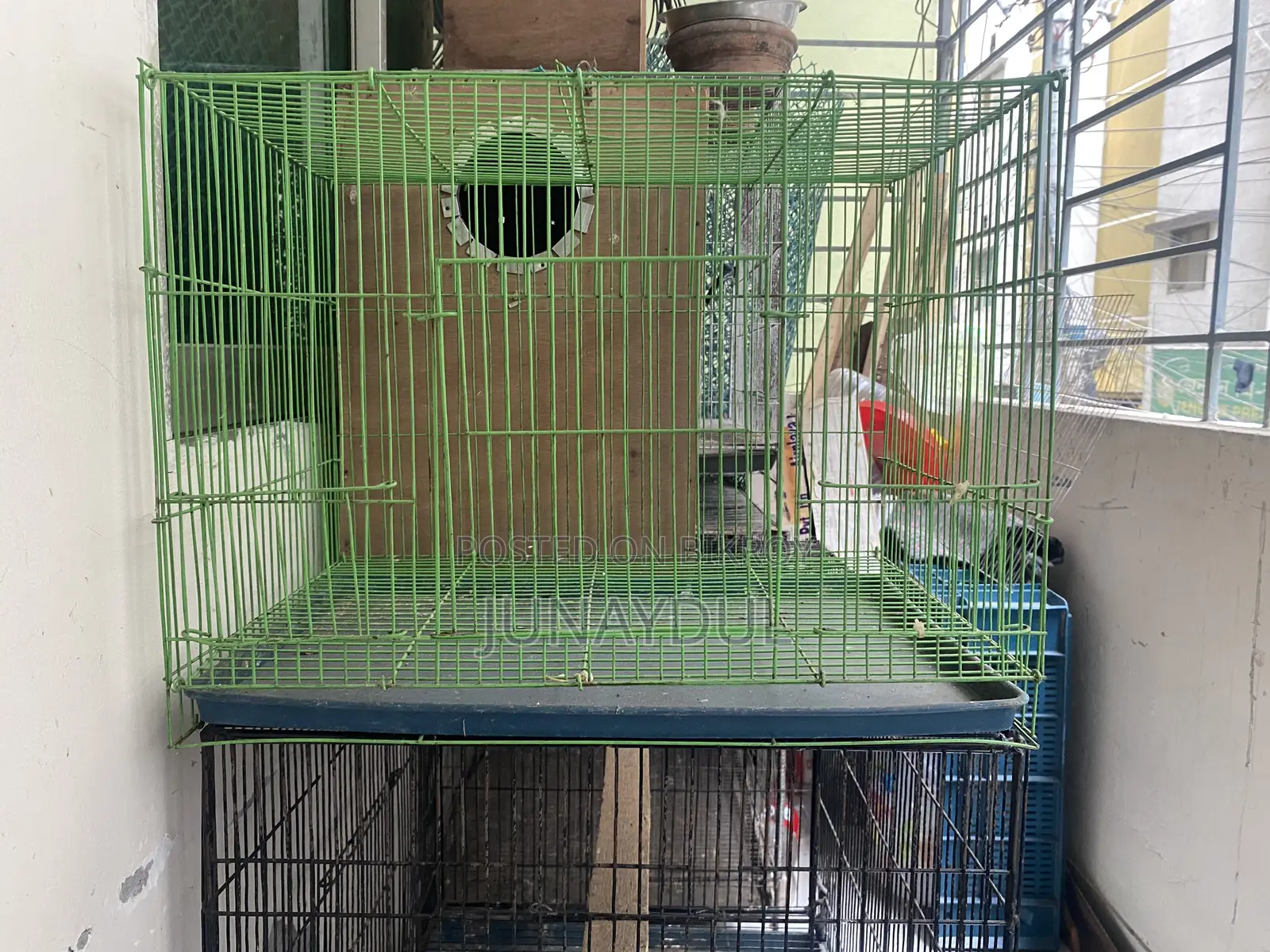Kacha and Breeding Box