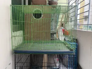 Kacha and Breeding Box