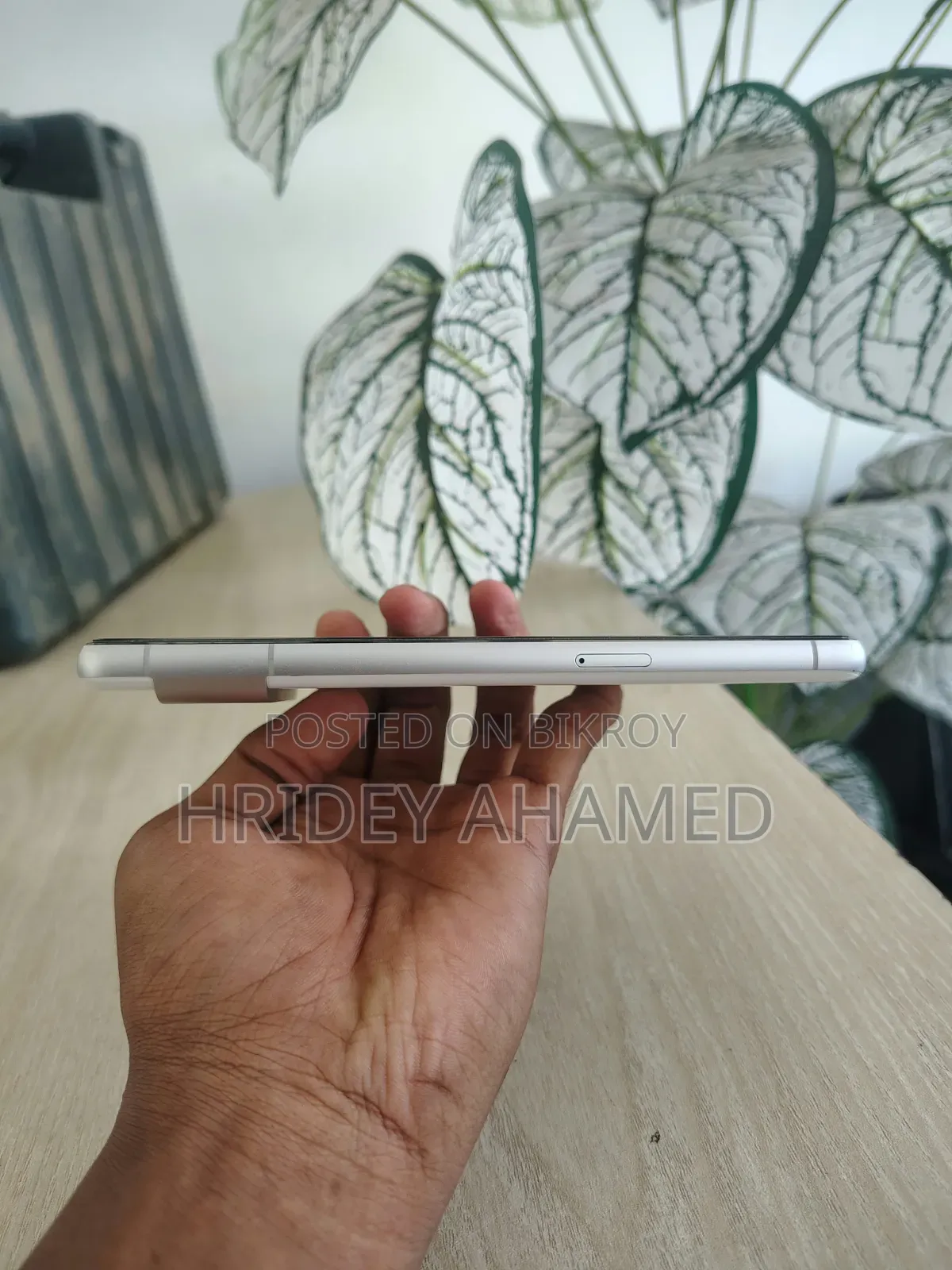 Google Pixel 7 128 GB White
