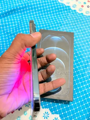 অ্যাপল আইফোন ১২ প্রো ম্যাক্স ২৫৬ জিবি নীল