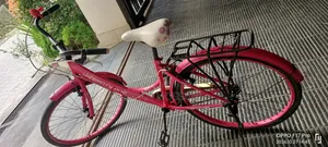 Pink Seventy-One Ruby