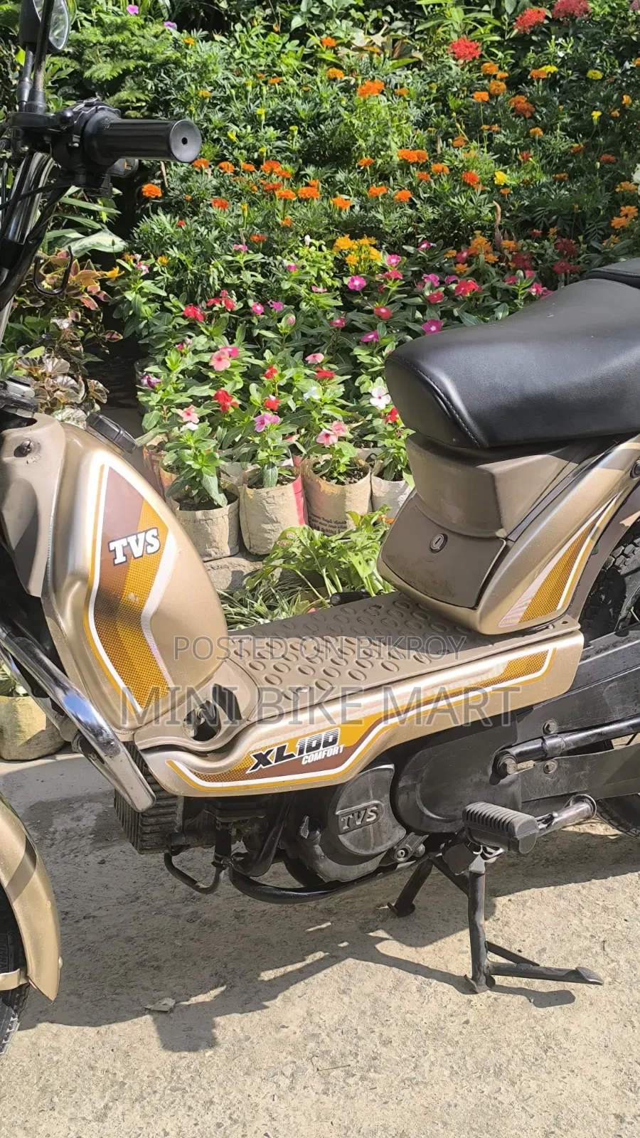 টিভিএস এক্সএল ১০০ কমফোর্ট ২০২২ সিলভার