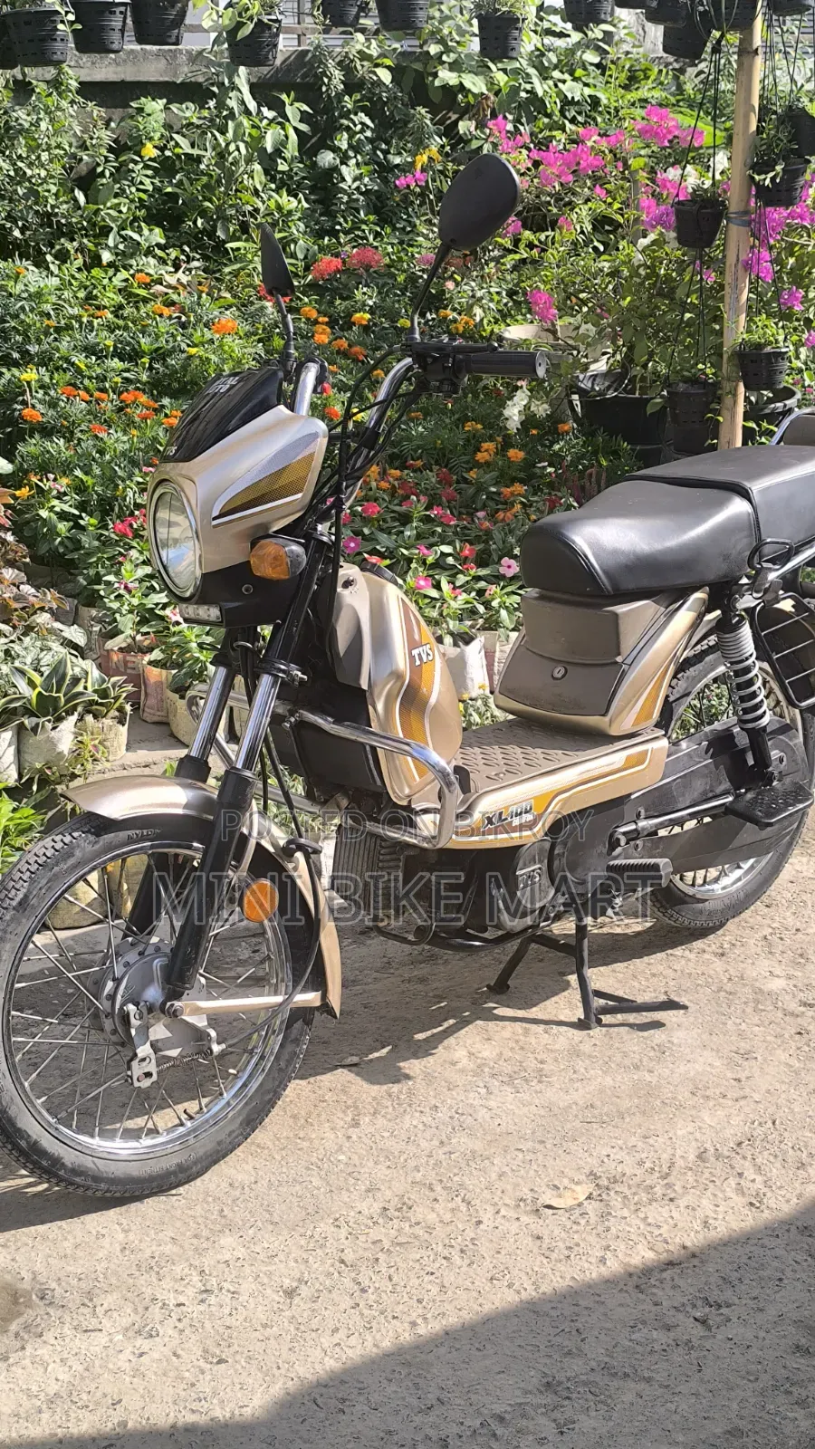 টিভিএস এক্সএল ১০০ কমফোর্ট ২০২২ সিলভার