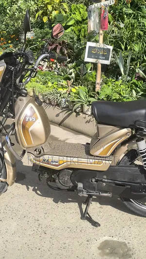 টিভিএস এক্সএল ১০০ কমফোর্ট ২০২২ সিলভার