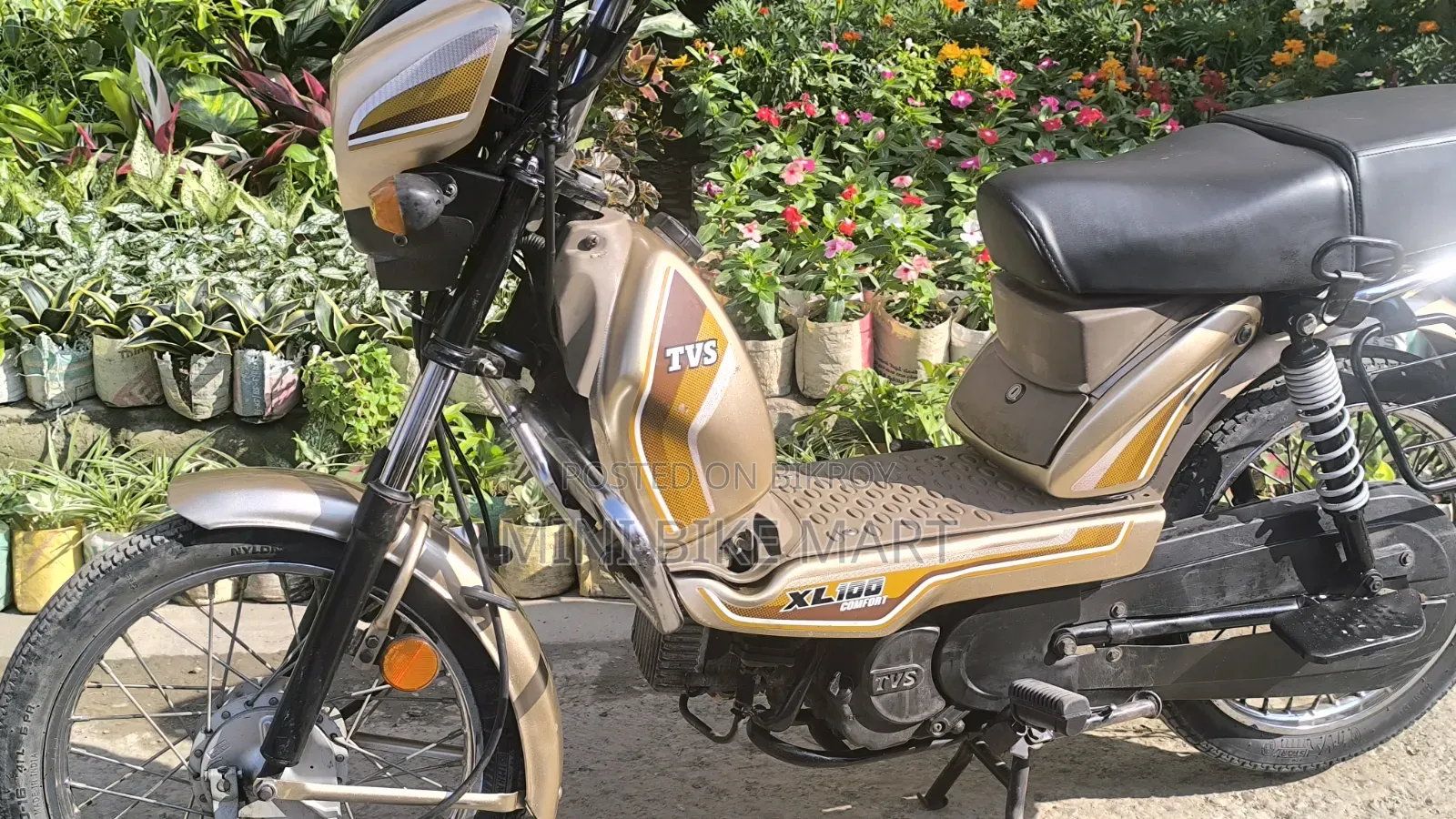 টিভিএস এক্সএল ১০০ কমফোর্ট ২০২২ সিলভার
