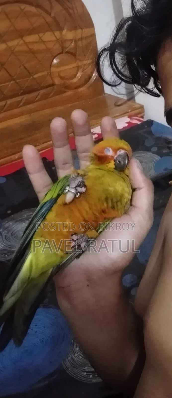 ফ্লাই টেম সান কনুর
