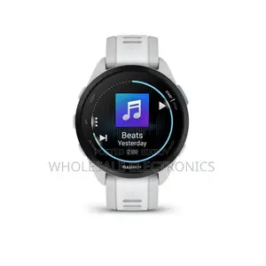 GARMIN FORERUNNER 165 MUSIC MIST GRAY / WHITESTONE (Only Pre-Order)