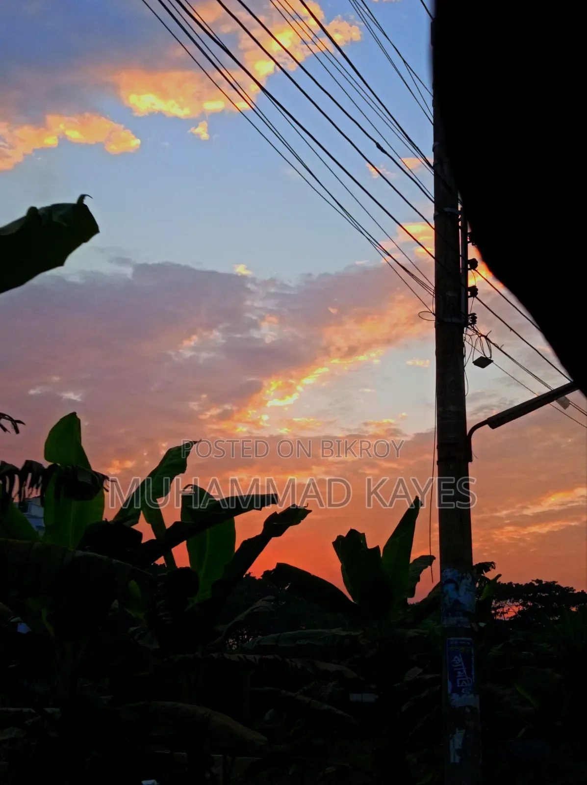 নিউ Xiaomi Redmi Note 9 64 GB Green