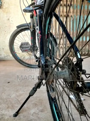 Xavier Cycle