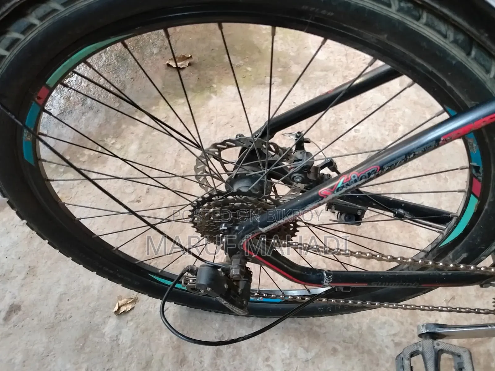 Xavier Cycle