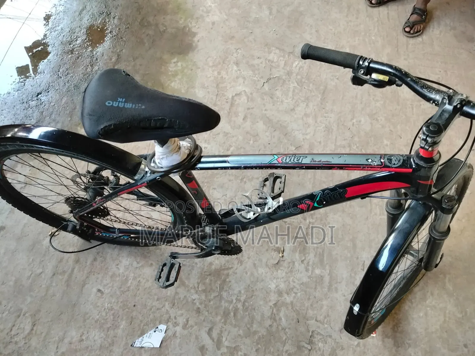 Xavier Cycle