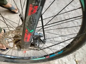 Xavier Cycle