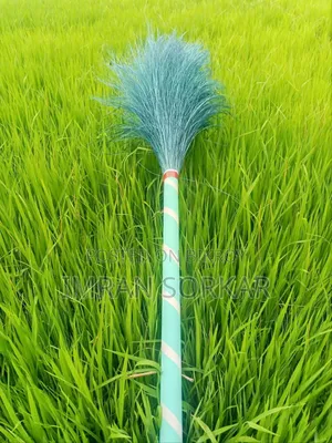 **100% Natural Date Palm Leaf